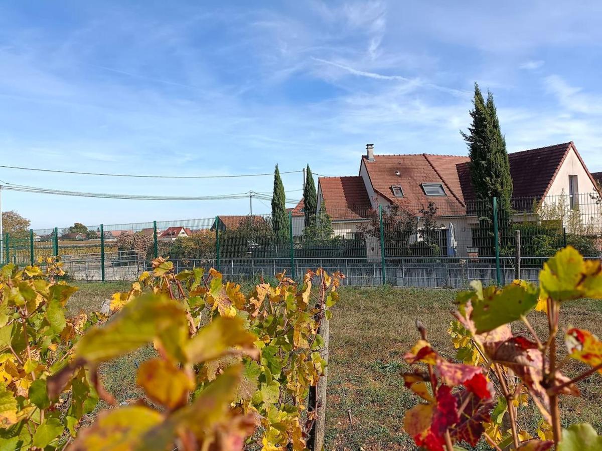 Villa Des Climats Bourgogne Marsannay-la-Côte Zewnętrze zdjęcie